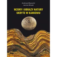 Poradniki psychologiczne - Bosz Wzory i obrazy natury ukryte w kamieniu - Andrzej Manecki, Janina Wrzak - miniaturka - grafika 1