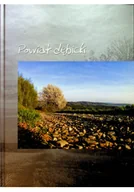 Felietony i reportaże - Powiat Dębicki - miniaturka - grafika 1