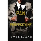 Literatura obyczajowa - Pan Perfekcyjny - miniaturka - grafika 1