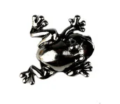 Gadżety dla niej i dla niego - Żabka Mosiężna Średnia II Na Pomnażanie Pieniędzy - Srebrna - miniaturka - grafika 1