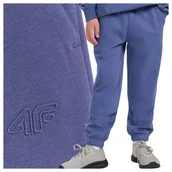 Dresy i komplety dla chłopców - Spodnie dresowe chłopięce 4F 4FJWAW25TTROM1245-33S Niebieski Roz. 146 - 4F JUNIOR - miniaturka - grafika 1