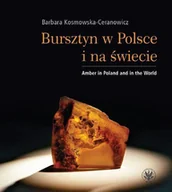 E-booki - nauka - Bursztyn w Polsce i na świecie - miniaturka - grafika 1