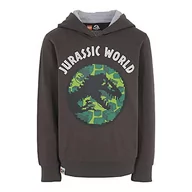 Bluzy dla chłopców - LEGO Chłopięca bluza z kapturem Jurassic World, 960, 110 - miniaturka - grafika 1