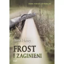 C&T James Henry Frost i zaginieni - Kryminały - miniaturka - grafika 1