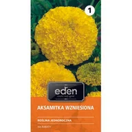 Nasiona i cebule - Aksamitka wzniesiona cytrynowa 0,8 g Eden - miniaturka - grafika 1