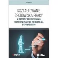 Biznes - Difin Kształtowanie środowiska pracy w procesie przygotowania trenerów pracy do zatrudnienia wspomaganego Jan Sikora - miniaturka - grafika 1