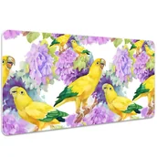 Podkładki na biurko - Podkładka na biurko Papugi 100x50 cm - miniaturka - grafika 1