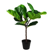 Sztuczne drzewka - Leaf Design UK sztuczne skrzypce drzewo figowe roślina czarna plastikowa doniczka, zielona, 60 cm - miniaturka - grafika 1