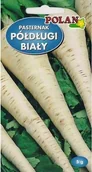 Nasiona i cebule - Pasternak Półdługi Biały 5 g POLAN - miniaturka - grafika 1