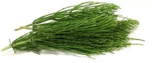 EQUIHERBS Skrzyp polny 1 kg - Akcesoria jeździeckie - miniaturka - grafika 1