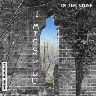 In The Stone/where Is Living Normil Hawaiians Płyta winylowa) - Muzyka alternatywna - miniaturka - grafika 1