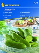 Nasiona i cebule - Ogórek Sałatkowy Salamanda 8161 (St) - miniaturka - grafika 1