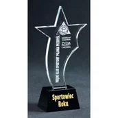 Gadżety dla kibiców - Trofeum szklane grawerowane + wypełnienie farbą - miniaturka - grafika 1