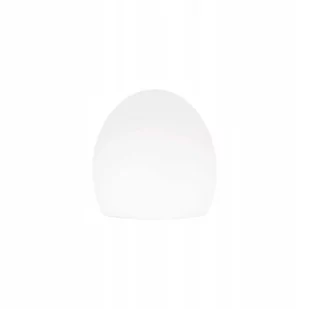 Ideal Lux Klosz do lampy CLIO-2 116716 - Oprawy, klosze i abażury - miniaturka - grafika 1
