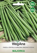 Nasiona i cebule - Fasola zwykła karłowa Majorka 40g nasiona - WegAna - miniaturka - grafika 1