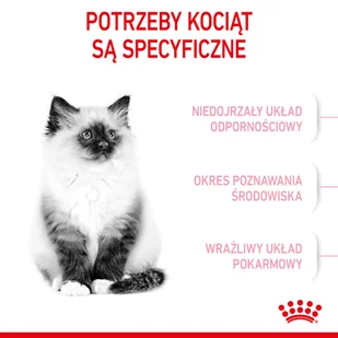 ROYAL CANIN Kitten 400g - Sucha karma dla kotów - miniaturka - grafika 5