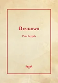 Literatura przygodowa - ELSET Brzozowo Piotr Ozygała - miniaturka - grafika 1