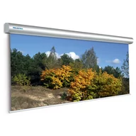 Ekrany projekcyjne - Projecta Master Electrol 500 x 375 cm instalacyjny elektryczny ekran projekcyjny Matt White 4:3 (246") - miniaturka - grafika 1