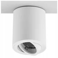 Oprawy, klosze i abażury - Oprawa Sufitowa Tuba Led Ruchoma Aluminium Biała 1X GU10 Febe Halogenowa - miniaturka - grafika 1