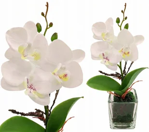 Storczyk sztuczny jak żywy w doniczce BIAŁY 28 cm - Sztuczne kwiaty - miniaturka - grafika 1