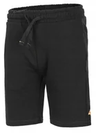 Spodenki męskie - 4F CHĹOPIÄCE KRĂ“TKIE SPODENKI DRESOWE BAWEĹNA / rozm 164 - miniaturka - grafika 1