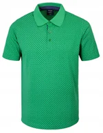 Koszulki męskie - POLO Koszulka Męska ZIELONA Bawełniana ARSENIK Elegancka 2XL Pako Jeans - miniaturka - grafika 1