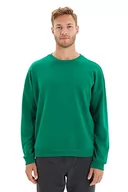 Bluzy męskie - TRENDYOL Męska bluza z mieszanki bawełny - zielona - regularna XL zielona, ZIELONY, XL - miniaturka - grafika 1