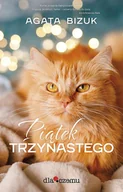 Literatura obyczajowa - DLACZEMU Piątek 13 - Agata Bizuk - miniaturka - grafika 1