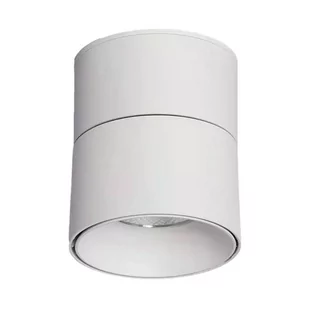 Lampa spot z regulacją Estetica ABR-LPR-15W-B-NW Abruzzo LED 15W 4000-4500K biały - Lampy sufitowe - miniaturka - grafika 1