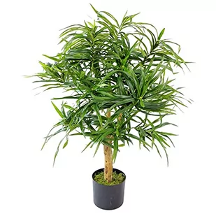 Leaf Ficus sztuczne realistyczne 100 cm Dracaena Spike 100 cm Dracaena Spike 100 cm AZ-FICUS - Sztuczne drzewka - miniaturka - grafika 1