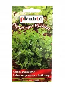 Seler listkowy Gewone Snij 0,2 g Plantico - Nasiona i cebule - miniaturka - grafika 1