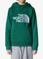Bluzy sportowe męskie - Bluza dziecięca The North Face Drew Peak P/O Hoodie - evergreen - miniaturka - grafika 1
