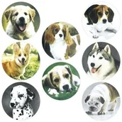 Szkolne artykuły papiernicze - Naklejki papierowe na taśmie Psy 500szt - miniaturka - grafika 1