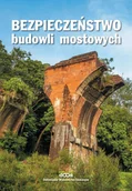 Książki o architekturze - Bezpieczeństwo budowli mostowych Nowa - miniaturka - grafika 1