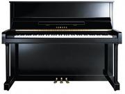 Instrumenty klawiszowe - Yamaha B3E PE pianino akustyczne - miniaturka - grafika 1