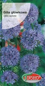 Nasiona i cebule - Nasiona Gilia główkowa niebieskofioletowa 1g - Torseed - miniaturka - grafika 1