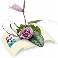 Donice - Ikebana na kwiaty prostokątna 4 x 19 cm, kremowa - miniaturka - grafika 1