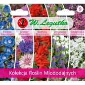 Nasiona i cebule - Kolekcja Roślin Miododajnych - miniaturka - grafika 1