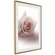 Plakaty - Plakat - Subtelny kwiat (rozmiar 40x60, wykończenie Rama złota z passe-partout) - miniaturka - grafika 1