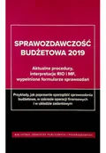 Finanse, księgowość, bankowość - Sprawozdawczość budżetowa 2019 - miniaturka - grafika 1