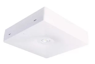 Oprawa awaryjna natynkowa LED 1W STARLET QUAD SO 150 A MT 1h MT INTELIGHT - Oprawy, klosze i abażury - miniaturka - grafika 1