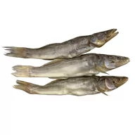 Konserwy i dania rybne - Sandacz suszony patroszony "Albacor" (ok 250g)luz - miniaturka - grafika 1