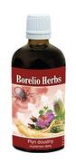 Suplementy naturalne - Inwent herbs Borelio Herbs 100ml borelioza rdestowiec japoński korzeń szczeci vilcacora korzeń żeń-szenia czystek - miniaturka - grafika 1