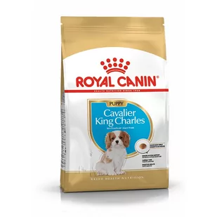 Royal Canin Cavalier King Charles Junior 1,5 kg - Sucha karma dla psów - miniaturka - grafika 1