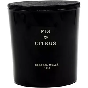 CERERIA MOLLA Świeca zapachowa CERERIA MOLLA Fig & Citrus 600 g Raty - Świece - miniaturka - grafika 1