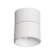 Lampy sufitowe - Natynkowa lampa spot Estetica ABR-LPR-15W-B-WW Abruzzo LED 15W 2700-3200K biały - miniaturka - grafika 1