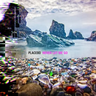 Placebo - Never Let Me Go - Winyle - miniaturka - grafika 2