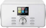 Radioodtwarzacze - Grundig DTR 5000 - miniaturka - grafika 1