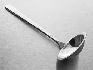 8410 Łyżka do sosu PRESTIGE - Łyżki - miniaturka - grafika 1