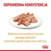 Mokra karma dla psów - Royal Canin Shih Tzu Adult 12x85g karma mokra pasztet dla psów dorosłych rasy Shih Tzu 285090 - miniaturka - grafika 1